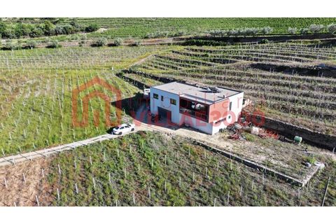 Farm i Tabuaco, Viseu, Tabuaco - € 500.000 | Ref: MAS_392 - foto 4