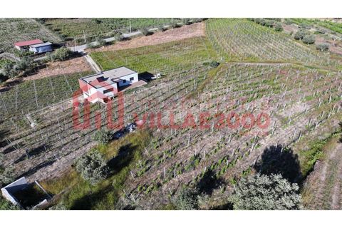 Farm i Tabuaco, Viseu, Tabuaco - € 500.000 | Ref: MAS_392 - foto 1