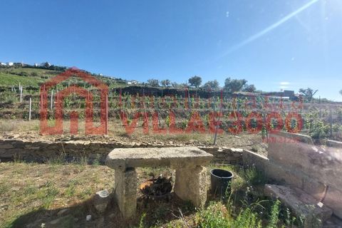Farm i Tabuaco, Viseu, Tabuaco - € 500.000 | Ref: MAS_392 - foto 11