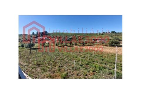 Farm i Tabuaco, Viseu, Tabuaco - € 500.000 | Ref: MAS_392 - foto 15