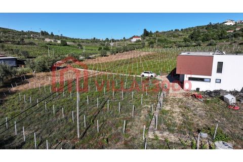 Farm i Tabuaco, Viseu, Tabuaco - € 500.000 | Ref: MAS_392 - foto 14