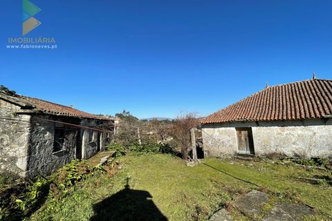 Farm i Moncao, Viana do Castelo, Moncao - € 180.000 | Ref: PTL-004-010 - foto 5