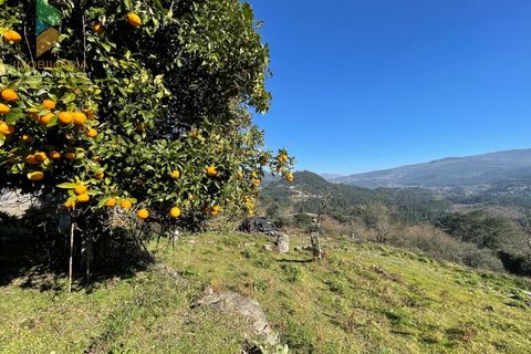 Farm i Moncao, Viana do Castelo, Moncao - € 180.000 | Ref: PTL-004-010 - foto 8