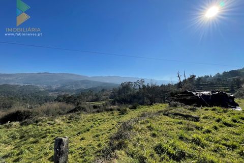 Farm i Moncao, Viana do Castelo, Moncao - € 180.000 | Ref: PTL-004-010 - foto 11