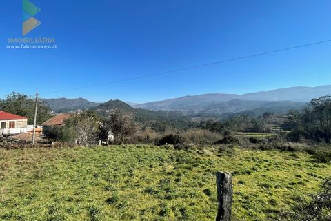 Farm i Moncao, Viana do Castelo, Moncao - € 180.000 | Ref: PTL-004-010 - foto 13