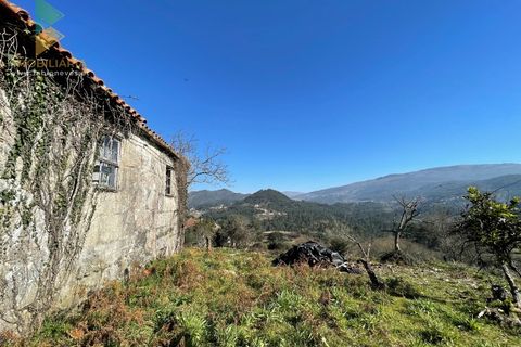 Farm i Moncao, Viana do Castelo, Moncao - € 180.000 | Ref: PTL-004-010 - foto 14