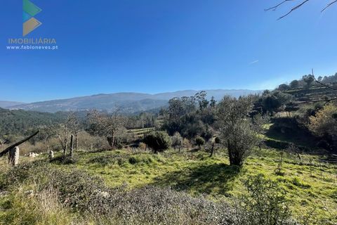 Farm i Moncao, Viana do Castelo, Moncao - € 180.000 | Ref: PTL-004-010 - foto 16