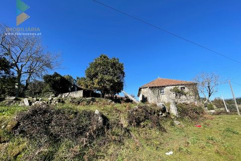 Farm i Moncao, Viana do Castelo, Moncao - € 180.000 | Ref: PTL-004-010 - foto 18