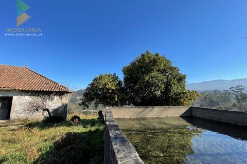 Farm i Moncao, Viana do Castelo, Moncao - € 180.000 | Ref: PTL-004-010 - foto 24