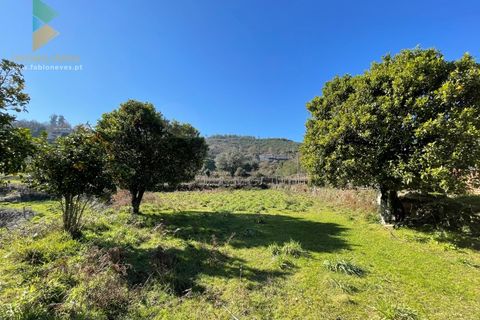 Farm i Moncao, Viana do Castelo, Moncao - € 180.000 | Ref: PTL-004-010 - foto 26