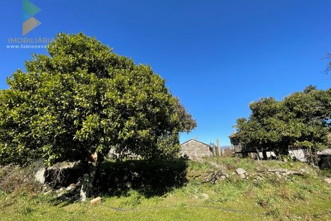 Farm i Moncao, Viana do Castelo, Moncao - € 180.000 | Ref: PTL-004-010 - foto 27
