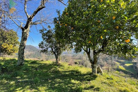 Farm i Moncao, Viana do Castelo, Moncao - € 180.000 | Ref: PTL-004-010 - foto 29