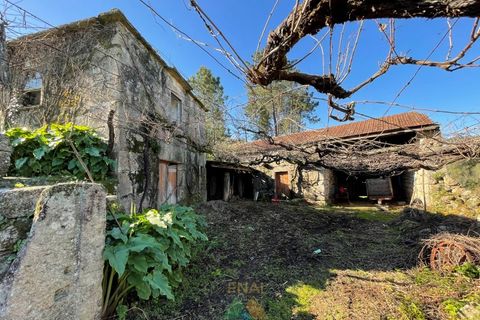 Farm i Moncao, Viana do Castelo, Moncao - € 180.000 | Ref: PTL-004-010 - foto 30