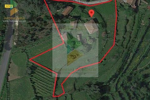 Farm i Moncao, Viana do Castelo, Moncao - € 180.000 | Ref: PTL-004-010 - foto 32