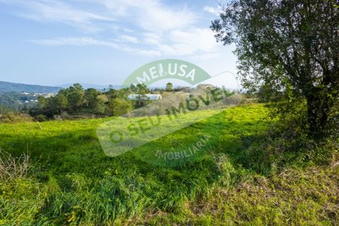 Helårsgrund i Coimbra, Coimbra, Coimbra - € 85.000 | Ref: CBRNT 5733 - foto 8