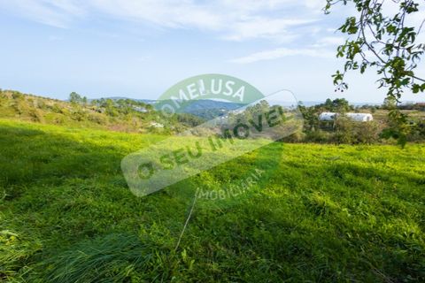 Helårsgrund i Coimbra, Coimbra, Coimbra - € 85.000 | Ref: CBRNT 5733 - foto 9