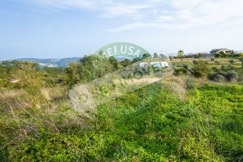 Helårsgrund i Coimbra, Coimbra, Coimbra - € 85.000 | Ref: CBRNT 5733 - foto 10