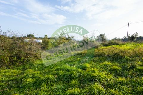 Helårsgrund i Coimbra, Coimbra, Coimbra - € 85.000 | Ref: CBRNT 5733 - foto 12