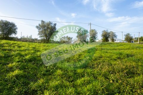 Helårsgrund i Coimbra, Coimbra, Coimbra - € 85.000 | Ref: CBRNT 5733 - foto 13