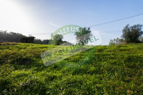 Helårsgrund i Coimbra, Coimbra, Coimbra - € 85.000 | Ref: CBRNT 5733 - foto 14
