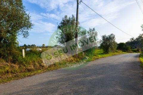 Helårsgrund i Coimbra, Coimbra, Coimbra - € 85.000 | Ref: CBRNT 5733 - foto 16
