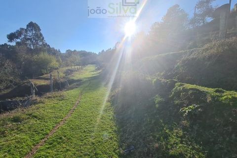 Farm i Gondufe, Viana do Castelo, Gondufe - € 165.000 | Ref: VIL_1560 - foto 3