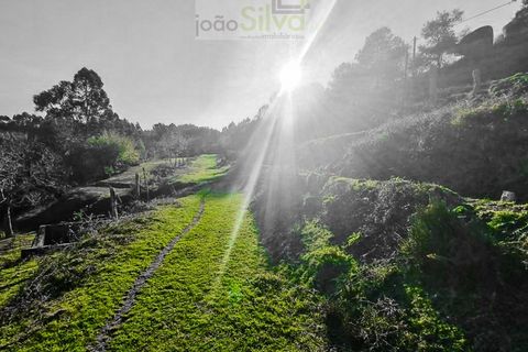 Farm i Gondufe, Viana do Castelo, Gondufe - € 165.000 | Ref: VIL_1560 - foto 4