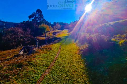 Farm i Gondufe, Viana do Castelo, Gondufe - € 165.000 | Ref: VIL_1560 - foto 5