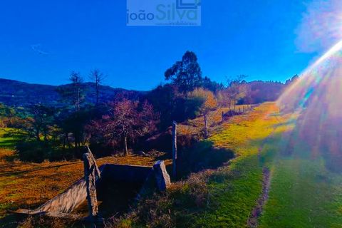 Farm i Gondufe, Viana do Castelo, Gondufe - € 165.000 | Ref: VIL_1560 - foto 8