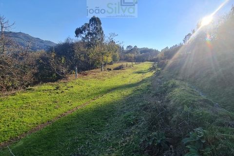 Farm i Gondufe, Viana do Castelo, Gondufe - € 165.000 | Ref: VIL_1560 - foto 9