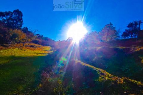 Farm i Gondufe, Viana do Castelo, Gondufe - € 165.000 | Ref: VIL_1560 - foto 10
