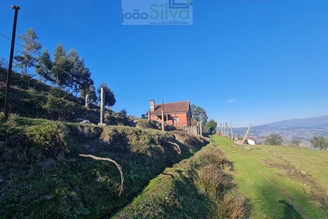 Farm i Gondufe, Viana do Castelo, Gondufe - € 165.000 | Ref: VIL_1560 - foto 11