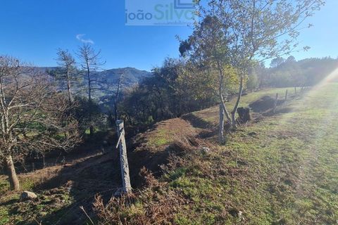 Farm i Gondufe, Viana do Castelo, Gondufe - € 165.000 | Ref: VIL_1560 - foto 13