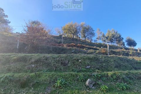 Farm i Gondufe, Viana do Castelo, Gondufe - € 165.000 | Ref: VIL_1560 - foto 14