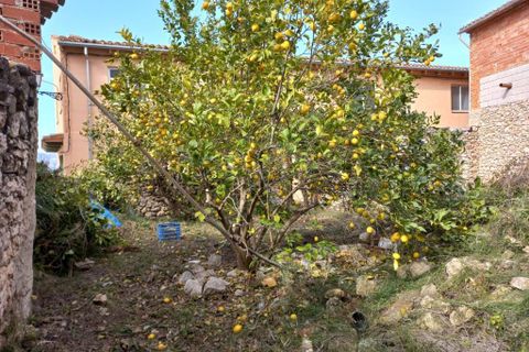 Byhus i Planes, Alicante, Planes - € 39.000 | Ref: 5502 - foto 23