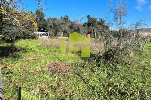 Helårsgrund i Lousa, Coimbra, Lousa - € 83.000 | Ref: LT1304 - foto 3