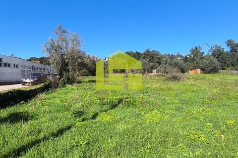 Helårsgrund i Lousa, Coimbra, Lousa - € 83.000 | Ref: LT1304 - foto 4