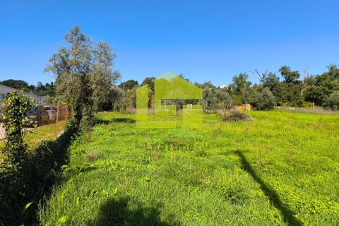 Helårsgrund i Lousa, Coimbra, Lousa - € 83.000 | Ref: LT1304 - foto 5
