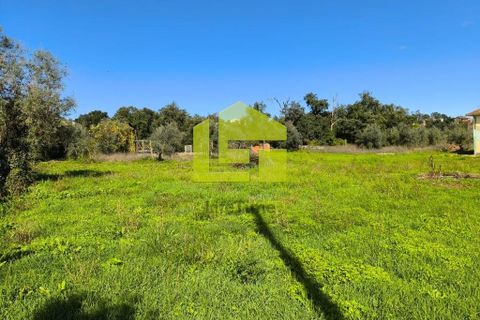 Helårsgrund i Lousa, Coimbra, Lousa - € 83.000 | Ref: LT1304 - foto 6