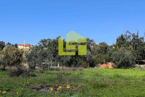 Helårsgrund i Lousa, Coimbra, Lousa - € 83.000 | Ref: LT1304 - foto 7