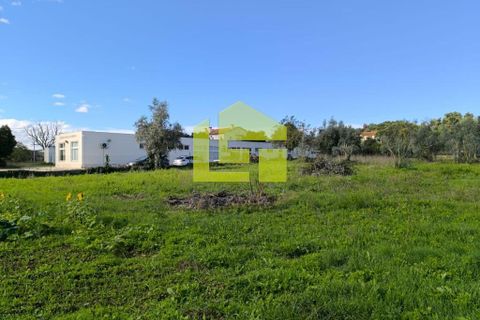 Helårsgrund i Lousa, Coimbra, Lousa - € 83.000 | Ref: LT1304 - foto 9