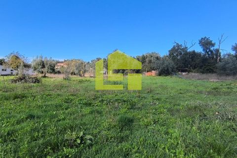 Helårsgrund i Lousa, Coimbra, Lousa - € 83.000 | Ref: LT1304 - foto 11