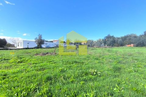 Helårsgrund i Lousa, Coimbra, Lousa - € 83.000 | Ref: LT1304 - foto 12