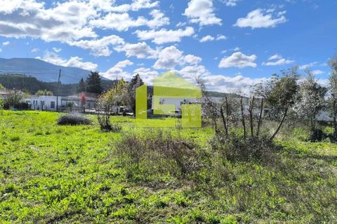 Helårsgrund i Lousa, Coimbra, Lousa - € 83.000 | Ref: LT1304 - foto 14