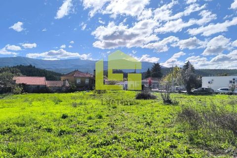 Helårsgrund i Lousa, Coimbra, Lousa - € 83.000 | Ref: LT1304 - foto 15