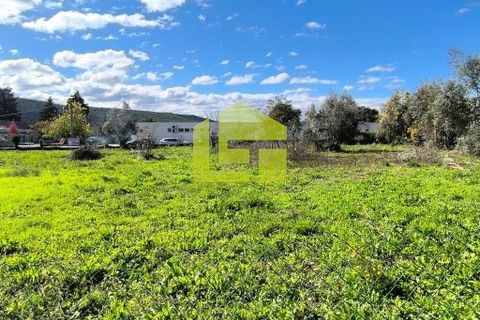 Helårsgrund i Lousa, Coimbra, Lousa - € 83.000 | Ref: LT1304 - foto 16