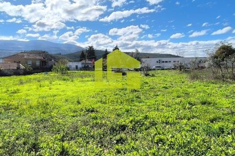 Helårsgrund i Lousa, Coimbra, Lousa - € 83.000 | Ref: LT1304 - foto 17