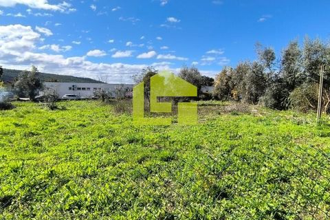 Helårsgrund i Lousa, Coimbra, Lousa - € 83.000 | Ref: LT1304 - foto 20