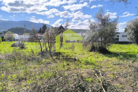Helårsgrund i Lousa, Coimbra, Lousa - € 83.000 | Ref: LT1304 - foto 21