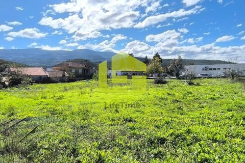 Helårsgrund i Lousa, Coimbra, Lousa - € 83.000 | Ref: LT1304 - foto 22